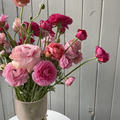 Flower Farmstead sustainable flowers Gympie and Noosa