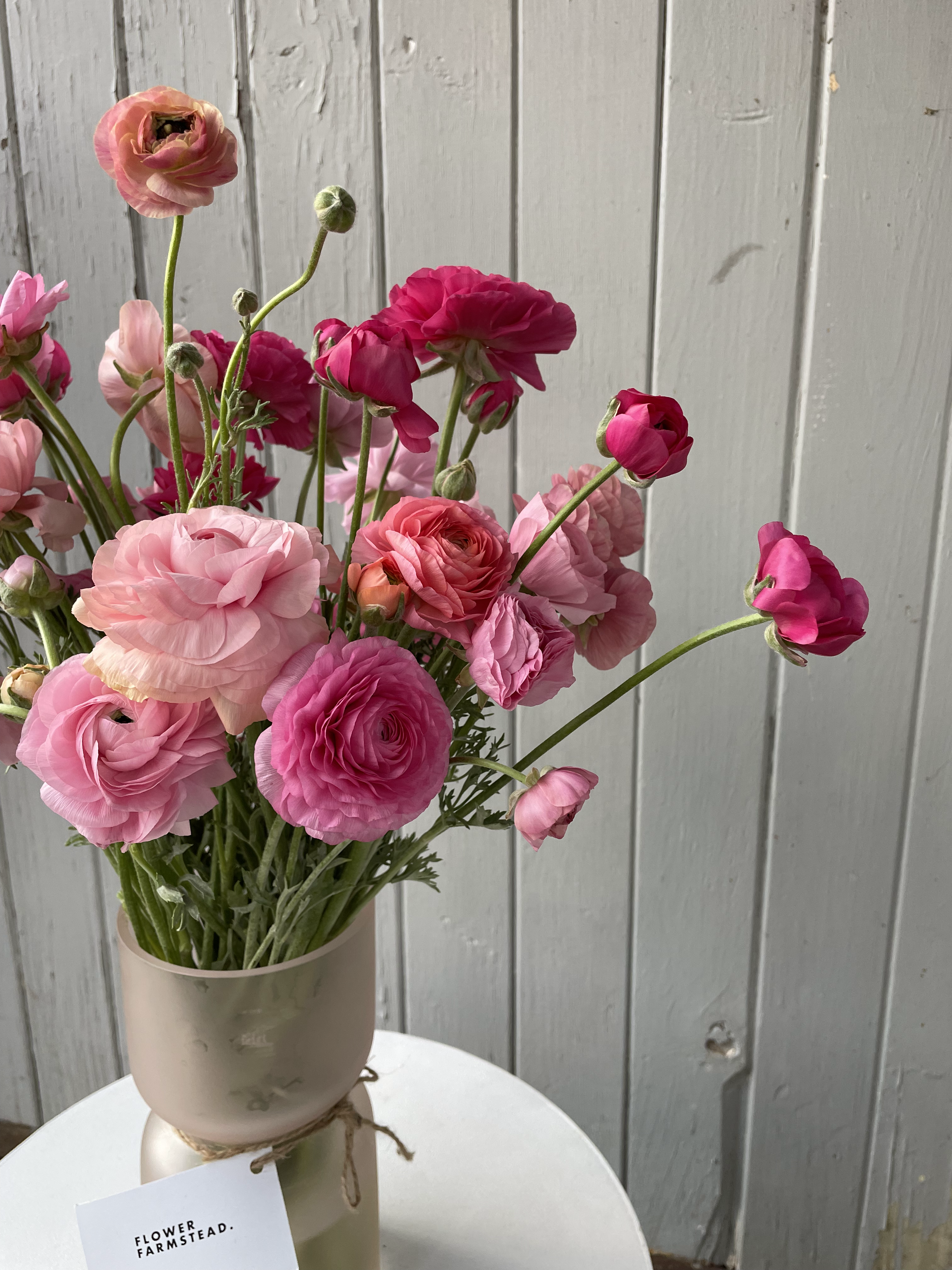 Flower Farmstead sustainable flowers Gympie and Noosa